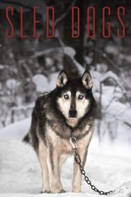  Sled Dogs Poster