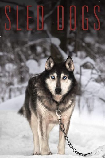  Sled Dogs Poster