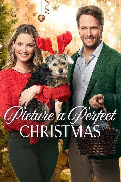 Picture a Perfect Christmas Poster