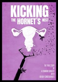  Kicking the Hornet's Nest Poster