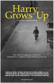  Harry Grows Up Poster