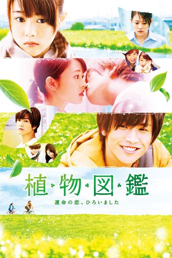  Evergreen Love Poster
