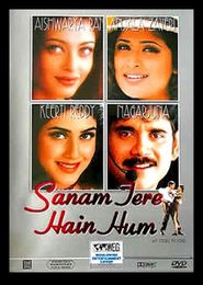  Sanam Tere Hain Hum Poster