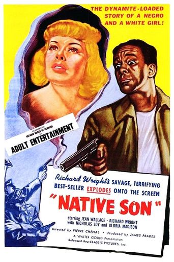  Native Son Poster