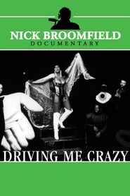  Driving Me Crazy Poster