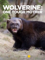  Wolverine: One Tough Mother Poster