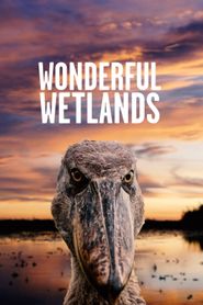  Wonderful Wetlands Poster