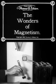  The Wonders of Magnetism Poster