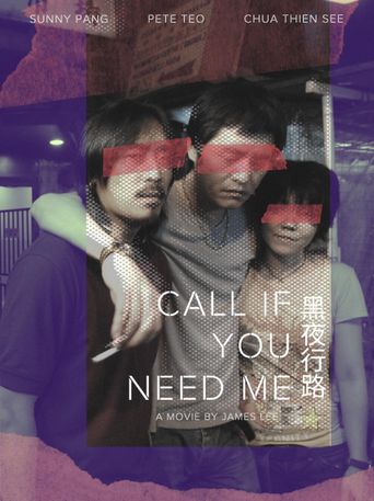  Call If You Need Me Poster