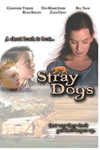  Stray Dogs Poster