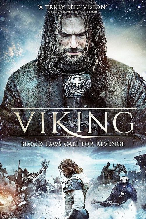 Viking Poster
