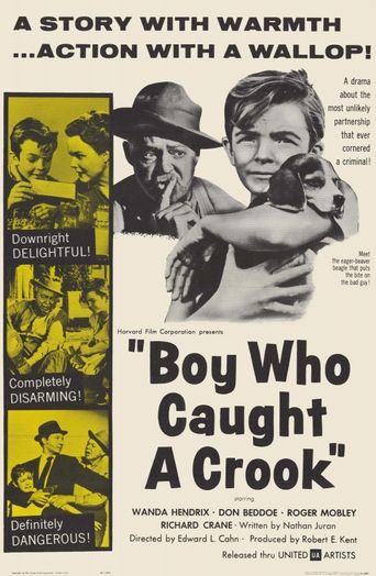  Boy Who Caught a Crook Poster