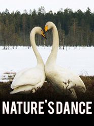  Nature's Dance Poster