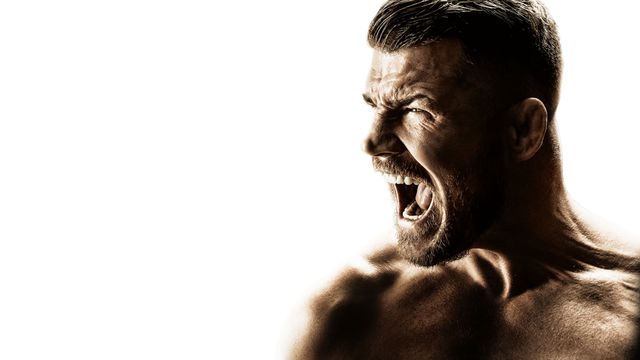 Bisping Backdrop