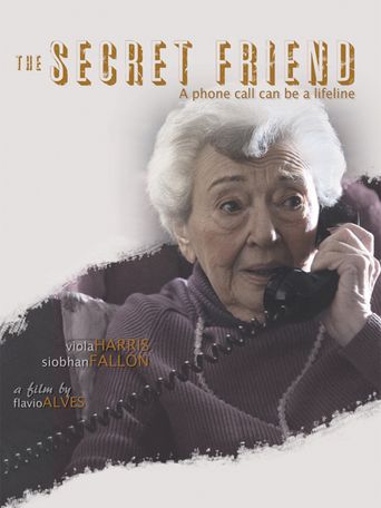  The Secret Friend Poster