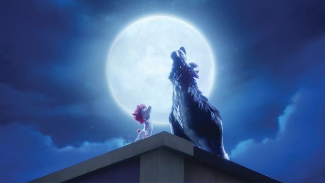 100% Wolf Backdrop
