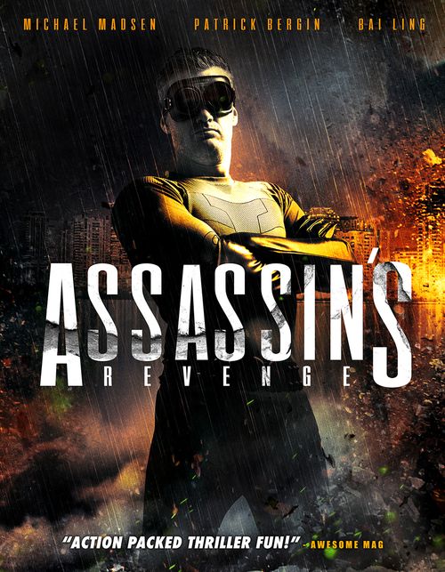 Assassins Revenge Poster