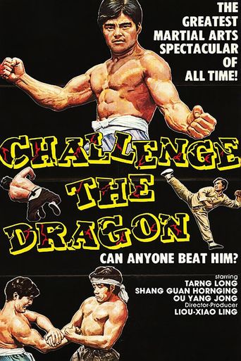  Challenge the Dragon Poster