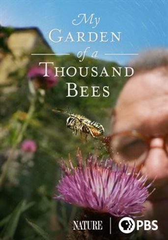  My Garden of a Thousand Bees Poster