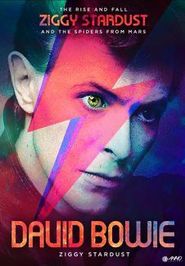  David Bowie: Ziggy Stardust Poster