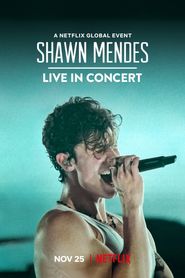  Shawn Mendes: Live in Concert Poster