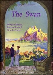  The Swan Poster