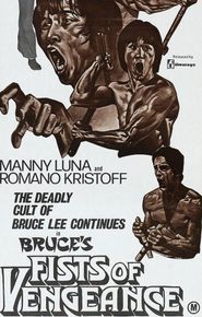  Bruce's Fists of Vengeance Poster