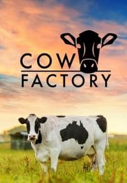  Cow Factory Poster