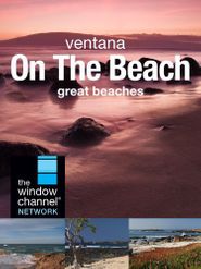  Ventana on the Beach Poster