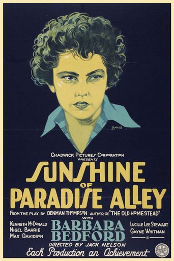  Sunshine of Paradise Alley Poster