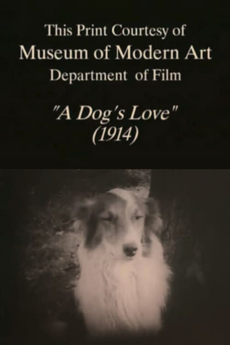 A Dog's Love Poster