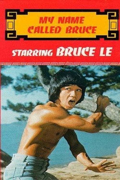 My Name Called Bruce Poster