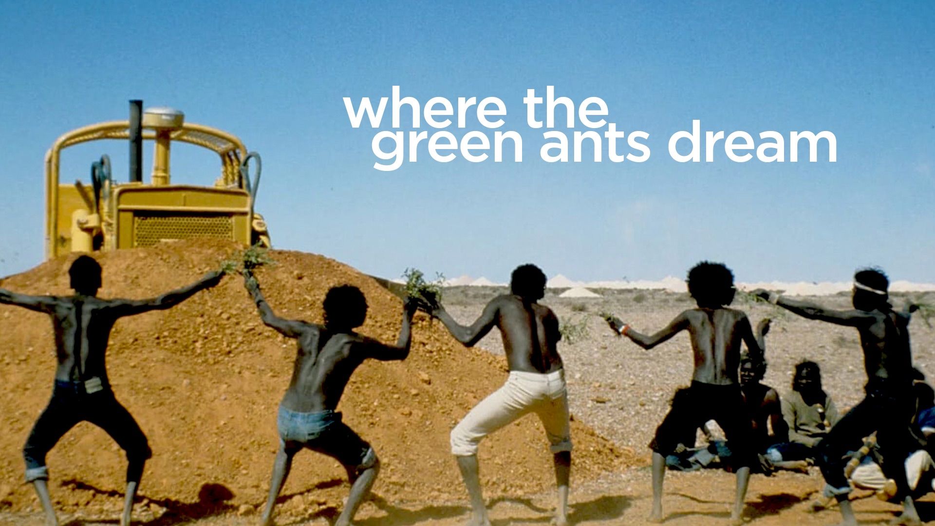 Where the Green Ants Dream Backdrop