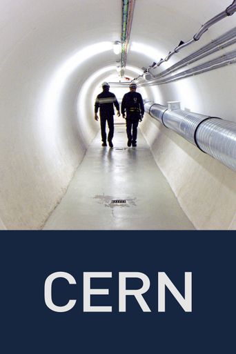  CERN Poster