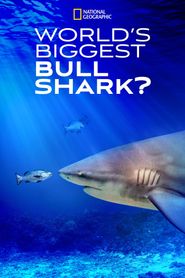  World's Biggest Bull Shark Poster