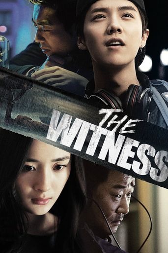  The Witness Poster