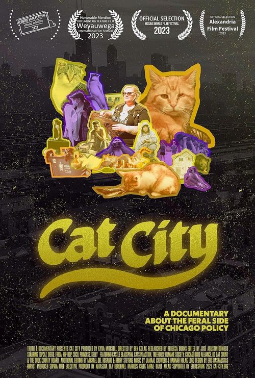 Cat City: Where to Watch and Stream Online | Reelgood