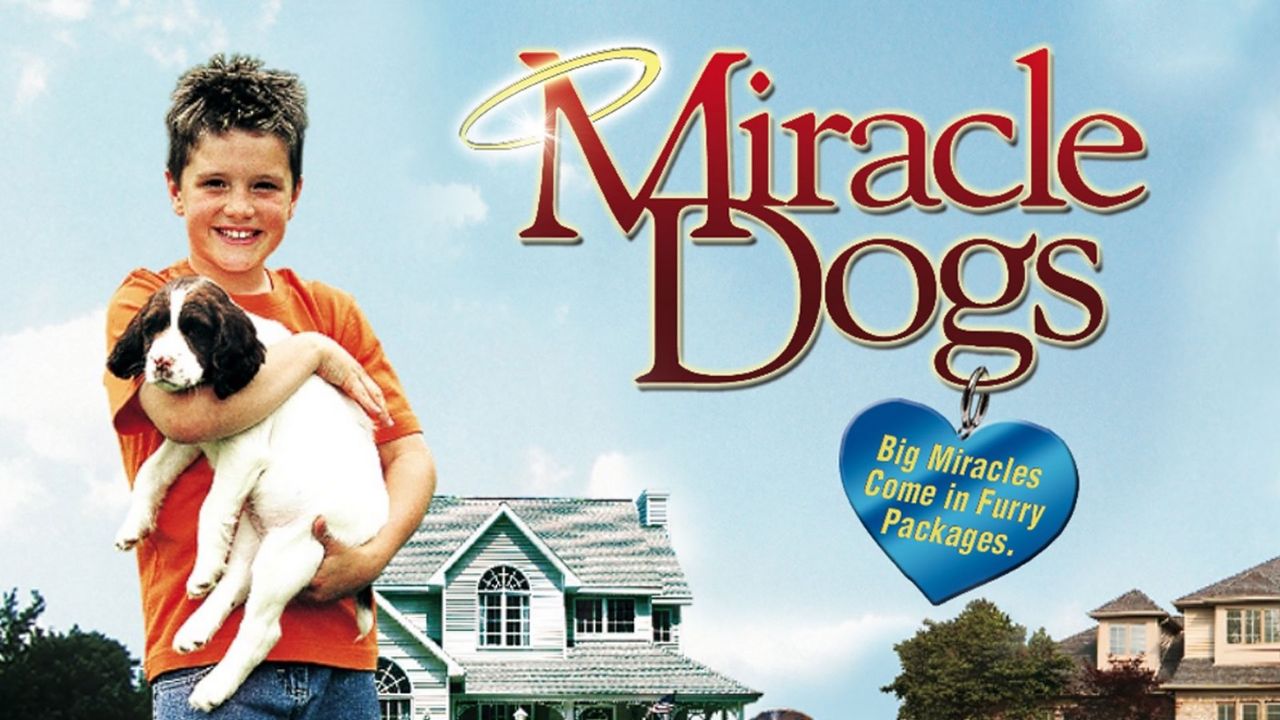 Miracle Dogs Backdrop