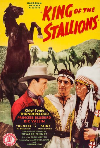  King of the Stallions Poster