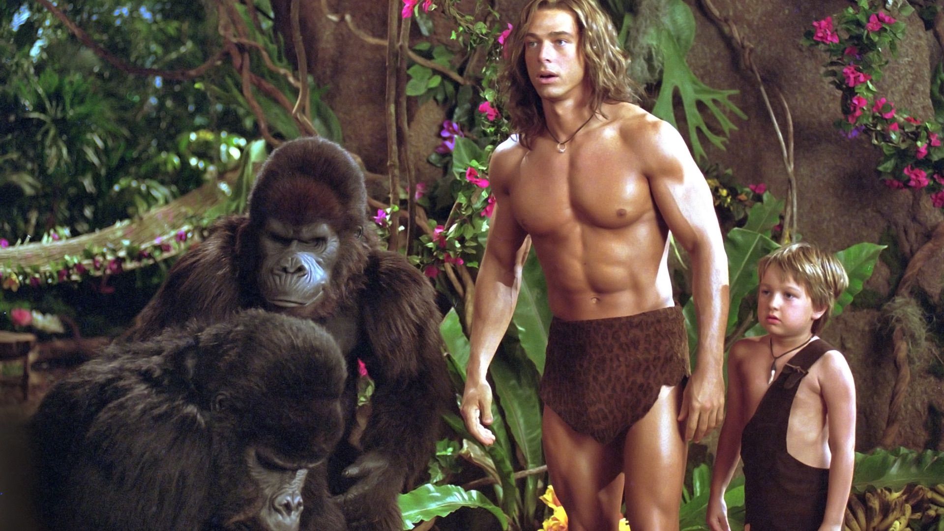 George of the Jungle 2 Backdrop