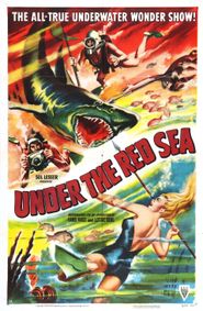  Abenteuer im Roten Meer Poster