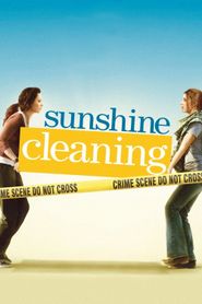  Sunshine Cleaning Poster