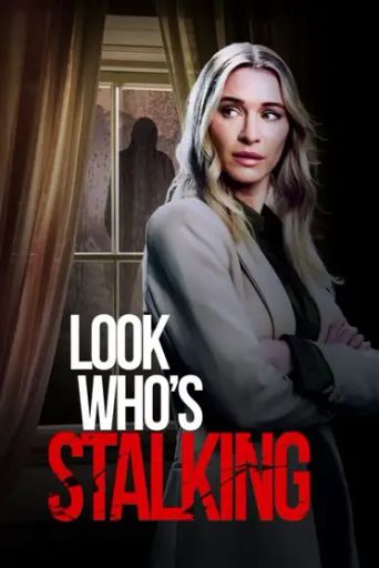  Haunted by My Stalker Poster