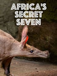 Africa's Secret Seven Poster