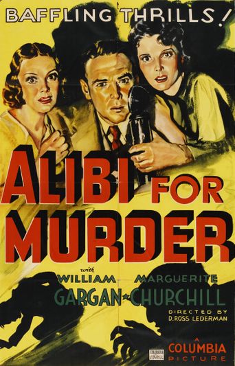  Alibi For Murder Poster