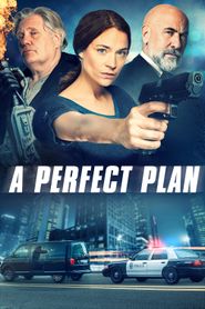  A Perfect Plan Poster