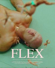  Flex Poster