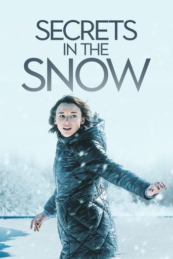  Secrets in the Snow Poster