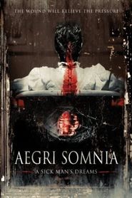  Aegri Somnia Poster