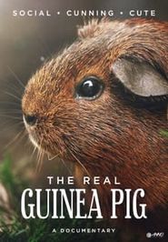 The Real Guinea Pig Poster